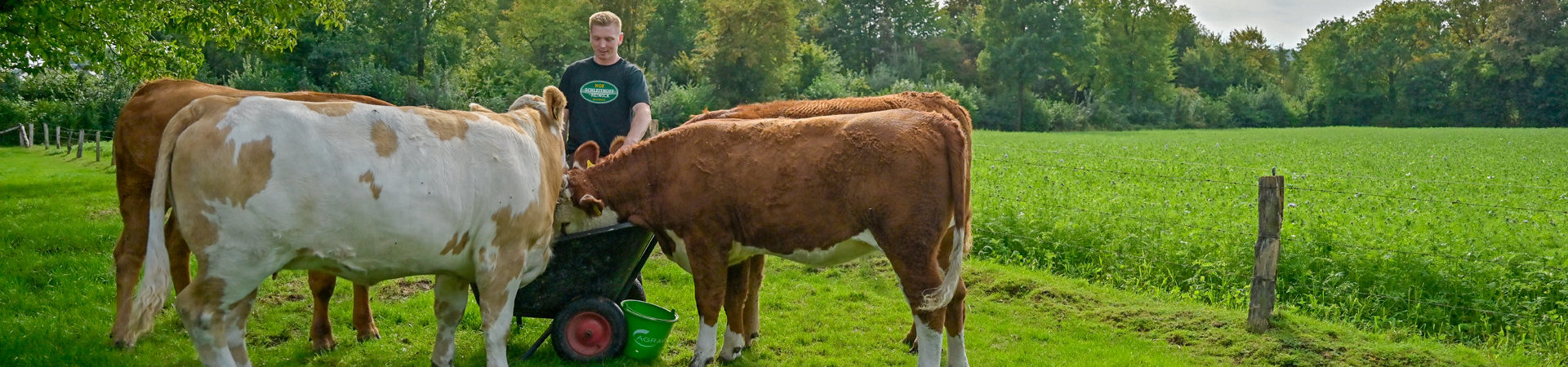 hofSchleithoffReiwick